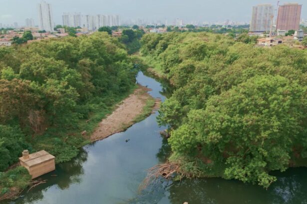 Expedição Rio Meia Ponte começa sua 2ª edição por Iniciativa da Câmara de Goiânia Expedição Rio Meia Ponte começa sua 2ª edição por Iniciativa da Câmara de Goiânia