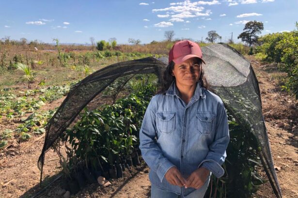 Mulheres recebem mais benefícios por programas do Estado para agricultura familiar