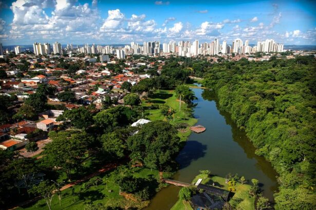 ONU distingue Goiânia como “Cidade Árvore do Mundo”
