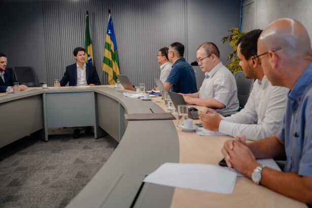 Empresa chinesa pode investir R$ 2 bilhões em Goiás Empresa chinesa pode investir R$ 2 bilhões em Goiás
