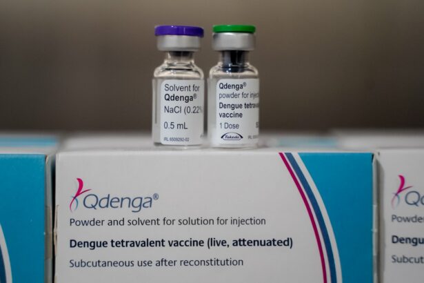 Saúde alerta para baixa procura pela 2ª dose da vacina contra a dengue Saúde alerta para baixa procura pela 2ª dose da vacina contra a dengue