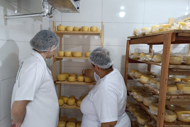 Governo de Goiás cria o Sistema Unificado de Sanidade Agroindustrial Familiar, Artesanal e de Pequeno Porte Governo de Goiás cria o Sistema Unificado de Sanidade Agroindustrial Familiar, Artesanal e de Pequeno Porte