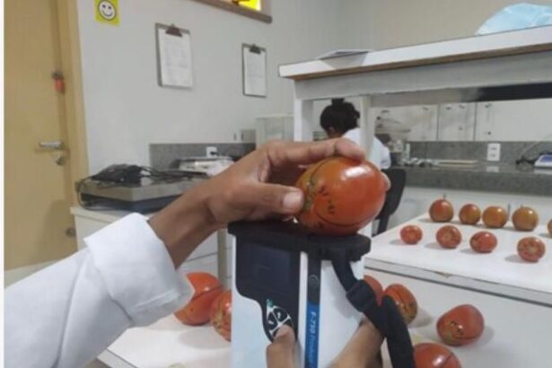 Fapeg impulsiona inovação na certificação digital de produtos agrícolas em Goiás