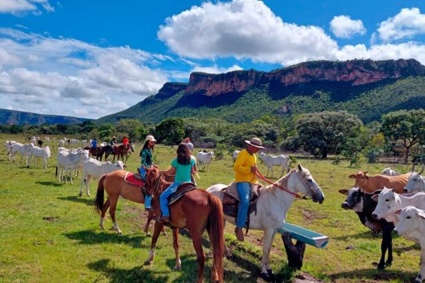 Nova Lei Geral do Turismo deve impulsionar setor em Goiás