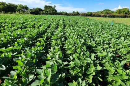 Governo de Goiás investe R$ 3,6 milhões em inovações sustentáveis para a agricultura