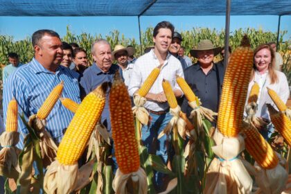 Daniel Vilela projeta Vale do Araguaia como importante fronteira agrícola em Goiás 