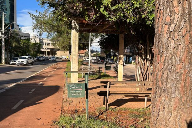 Avenida Ricardo Paranhos recebe manutenção com apoio da Associação Estadual de Apoio à Saúde