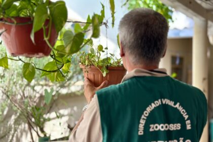 Goiânia tem 5,7 mil casos confirmados de dengue