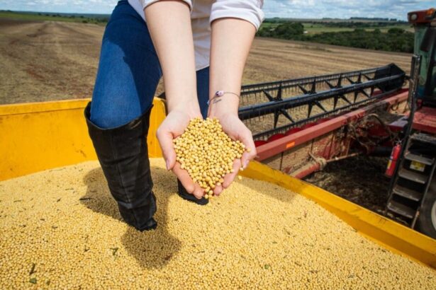 PIB de Goiás cresce 5,9% em fevereiro