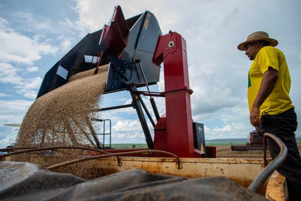 Goiás deve colher safra recorde em 2025