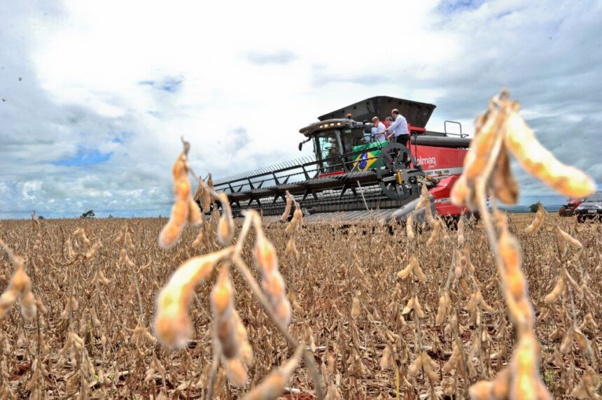 Goiás registra superávit de US$ 848 milhões na balança comercial de março