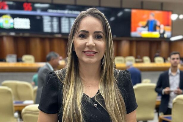 Vereadora Léia Klebia tem projeto aprovado para garantir amparo à saúde de mulheres com uso abusivo de álcool 