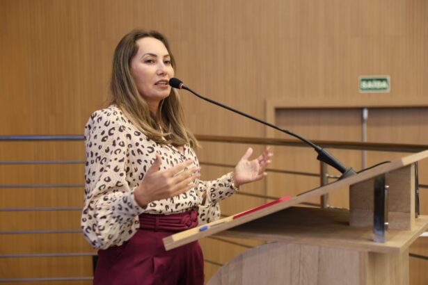 Câmara de Aparecida de Goiânia promove reunião para atualizar legislação das feiras livres