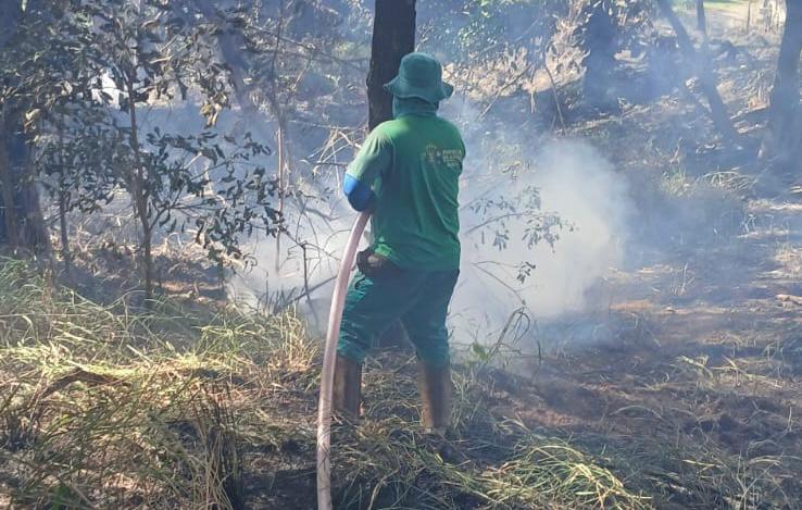 Prefeitura de Goiânia adota medidas para prevenir incêndios durante estiagem Prefeitura de Goiânia adota medidas para prevenir incêndios durante estiagem