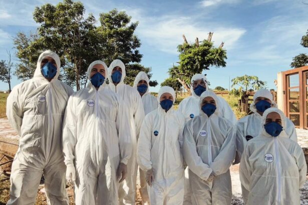 Goiás conclui ações emergenciais contra foco de gripe aviária Goiás conclui ações emergenciais contra foco de gripe aviária