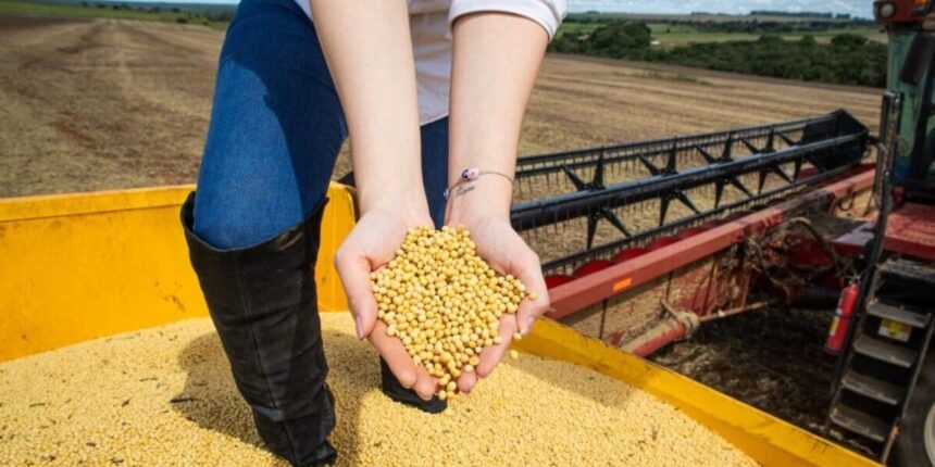 Goiás encerra 2025 com US$ 13,4 bilhões em exportações e superávit 20% maior que 2024