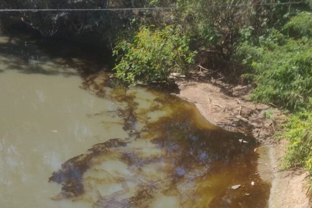 Prefeitura de Goiânia multa empresa em R$ 2 milhões por derramamento de biodiesel no Rio Meia Ponte