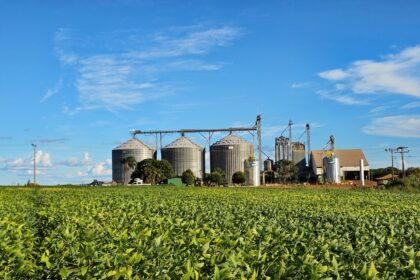Produtividade da soja em Goiás cresce 15,4% entre as safras 2016/17 e 2025/26