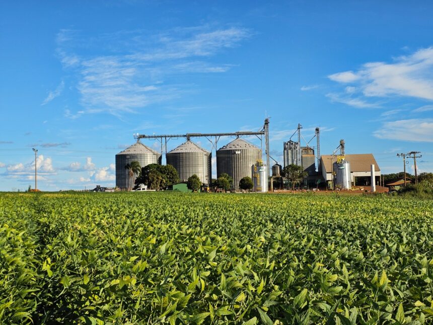 Produtividade da soja em Goiás cresce 15,4% entre as safras 2016/17 e 2025/26
